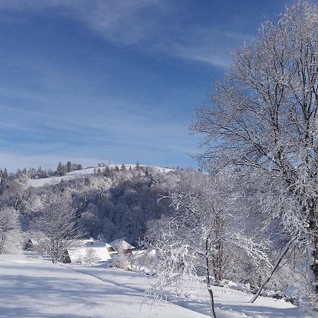 Верховинський Котедж Bukovets 외부 사진