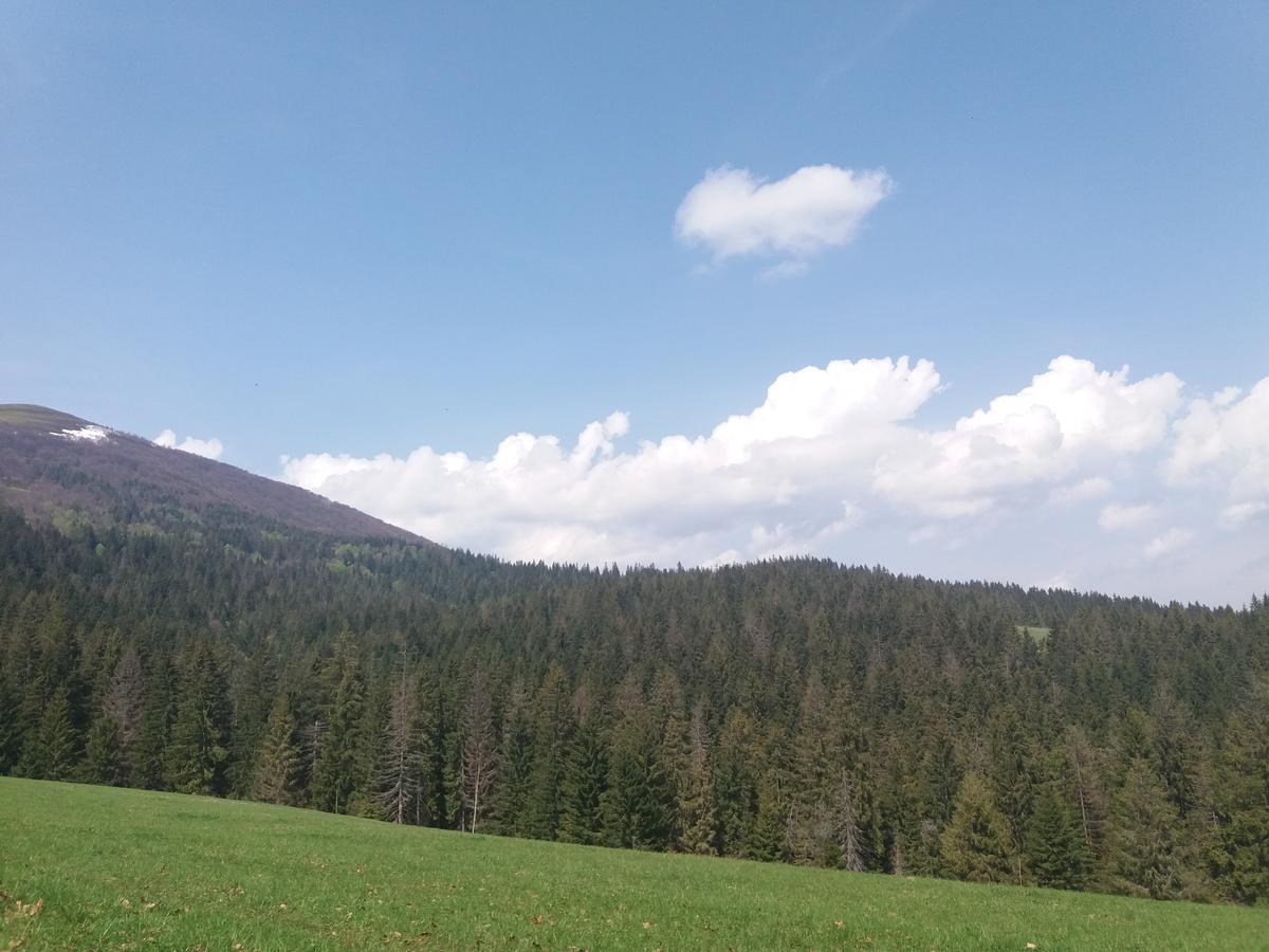 Верховинський Котедж Bukovets 외부 사진