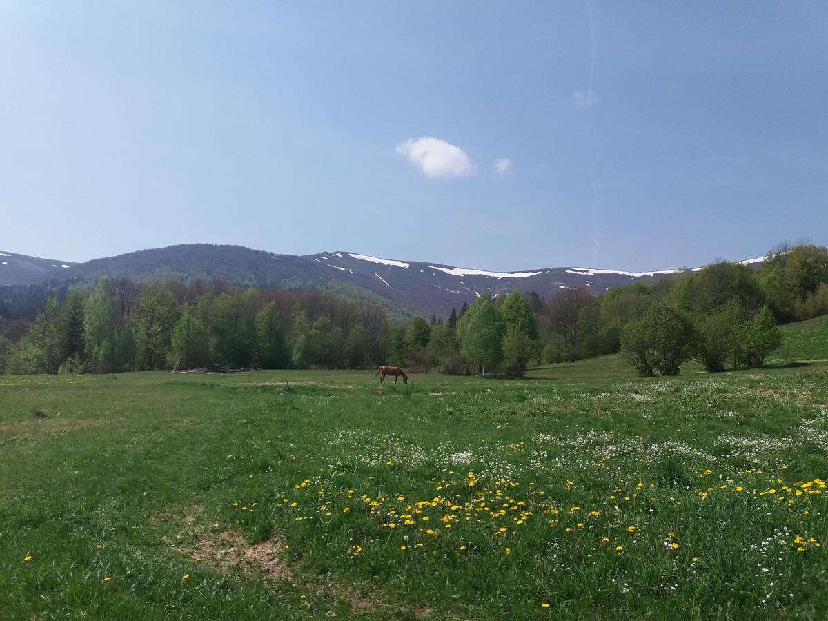 Верховинський Котедж Bukovets 외부 사진